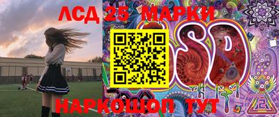 гашик Шебекино